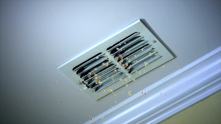 Best Local Air Duct Cleaning Services  in Lowesville, NC