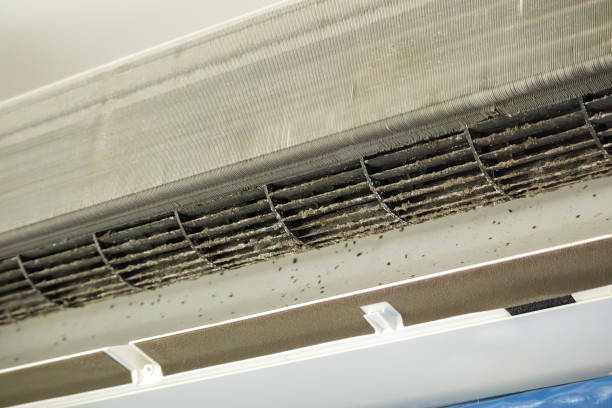 Best Air Duct Sanitizing Services  in Lowesville, NC